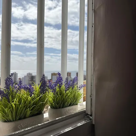 Casita Evisuit Апартаменты *